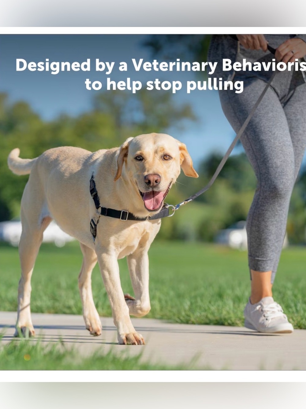 Pet safe easy walk black large